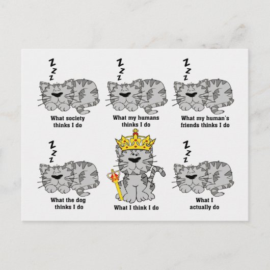 Was die Katze für lustig hält Postkarte (Vorderseite)