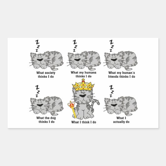 Was die Katze für lustig hält Rechteckiger Aufkleber (Vorderseite)