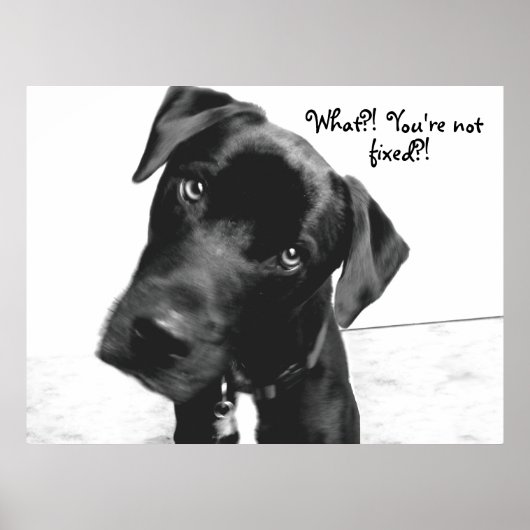 Was? Du bist nicht, repariert?! Poster (Vorne)