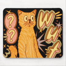 Was? / Eine Orange Cat Illustration
