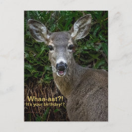 Was? Es ist dein Geburtstag! Postkarte