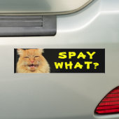 Was? Funny Cat Meme Autoaufkleber (Auf Auto)