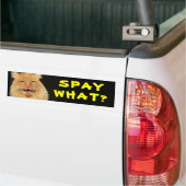 Was? Funny Cat Meme Autoaufkleber (Auf Lkw)