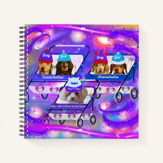 Was für ein Buch großer Babys-Notebooks (Vorderseite)