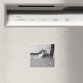 WAS FÜR EIN DRAG-MAGNET MAGNET (In Situ (Geschirrspüler))