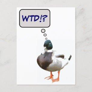 Was für ein Duck WTD Funny Postcard Postkarte
