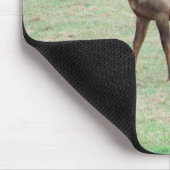 Was für ein Elch siehst du an? Mousepad (Ecke)
