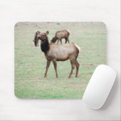Was für ein Elch siehst du an? Mousepad (Mit Mouse)
