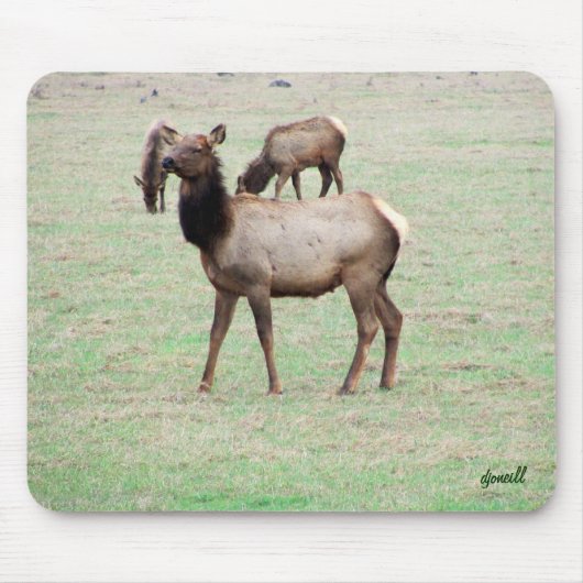 Was für ein Elch siehst du an? Mousepad (Vorne)