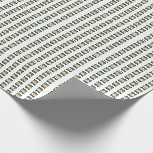 Was für ein Elf Geschenkpapier (Ecke)