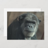 Was für ein Gesicht? Postkarte (Vorne/Hinten)