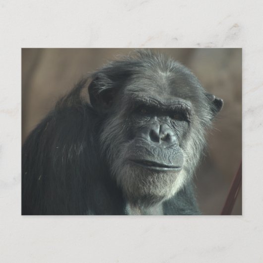 Was für ein Gesicht? Postkarte (Vorderseite)