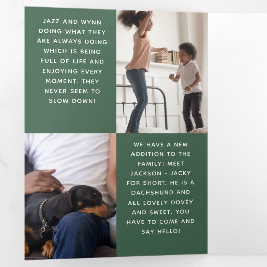 Was für ein Jahr Foto Jahr für grüne Überprüfung Dreifach Gefaltete Urlaubskarte (Innen Erste Seite)