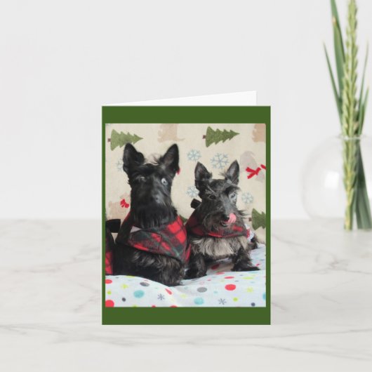 Was für ein Rentier? Karte (Vorderseite)