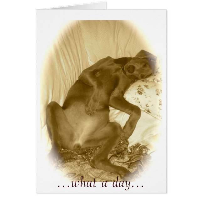 ...was für ein Tag... (Vorne)