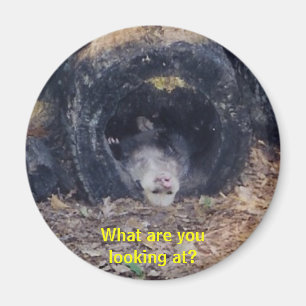 Was für ein Tag! -Magnet Magnet