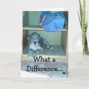 Was für ein Unterschied ein Jahr macht!!!!! Karte