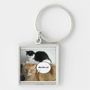 Was für eine andere Katze?/Orange Tabby Spaß Schlüsselanhänger