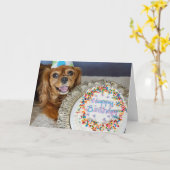 Was für eine Diät? Karte (Gelbe Blume)