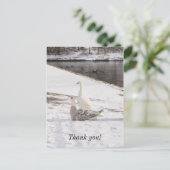 Was für eine Gans dank Ihrer Postkarte? Postkarte (Stehend Vorderseite)