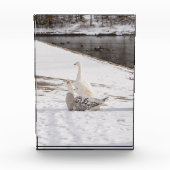 Was für eine Gans Fotoblock (Vorderseite)