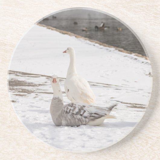 Was für eine Gans Getränkeuntersetzer (Vorne)