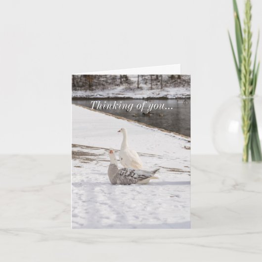 Was für eine Gans Karte (Vorderseite)