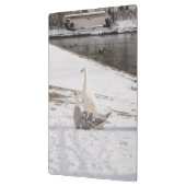 Was für eine Gans Klemmbrett (Links)