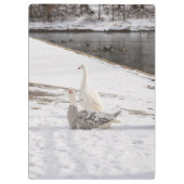 Was für eine Gans Klemmbrett (Rückseite)