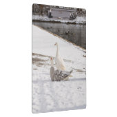 Was für eine Gans Klemmbrett (Rechts)