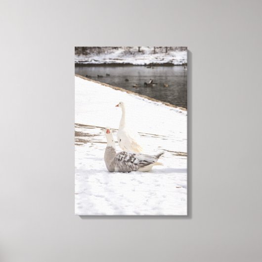 Was für eine Gans Leinwanddruck (Vorderseite)