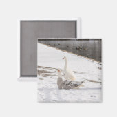 Was für eine Gans Magnet (Vorderseite/Rückseite)