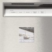 Was für eine Gans Magnet (In Situ (Geschirrspüler))