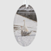 Was für eine Gans Ornament (Vorderseite)