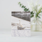 Was für eine Gans Postkarte (Stehend Vorderseite)