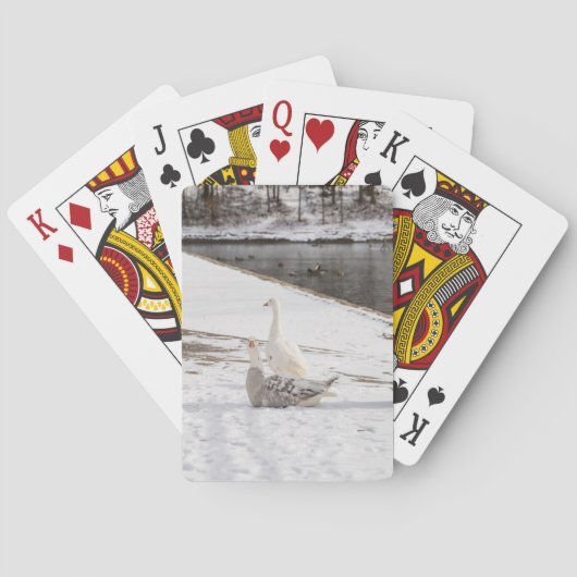 Was für eine Gans Spielkarten (Rückseite)