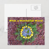 Was für eine Welt Postkarte (Vorne/Hinten)