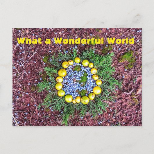 Was für eine Welt Postkarte (Vorderseite)