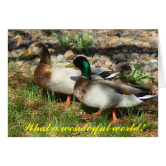 Was für eine wunderbare Welt!