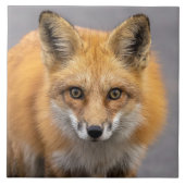 Was für große Augen du hast Fliese (Vorderseite)