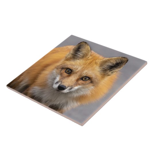 Was für große Augen du hast Fliese (Seite)