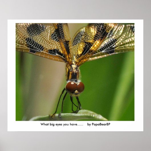 Was für große Augen du hast...... ... Poster (Vorne)