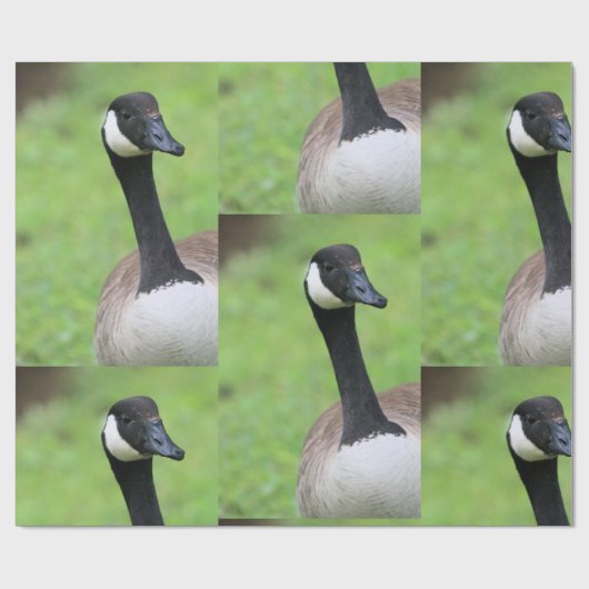 Was Geschenkpapier (Flach)