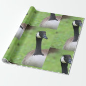 Was Geschenkpapier (Ungerollt)