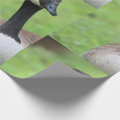 Was Geschenkpapier (Ecke)