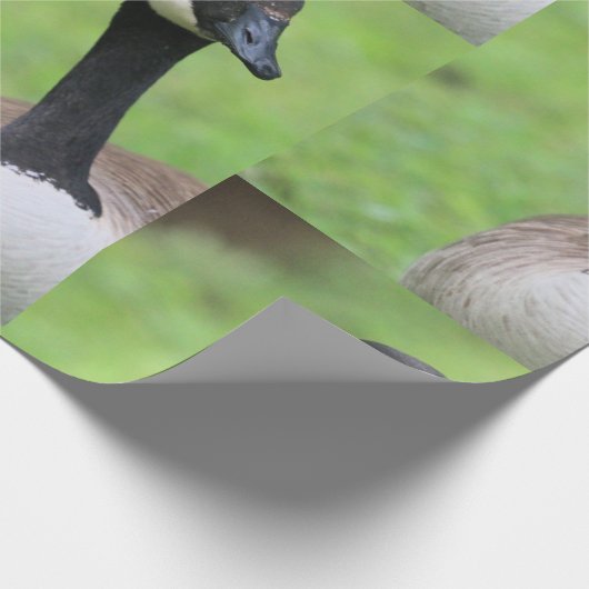 Was Geschenkpapier (Ecke)