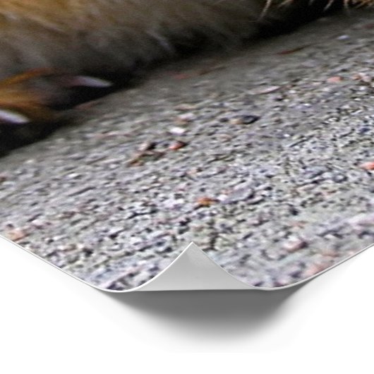 Was Got? Poster (Ecke)