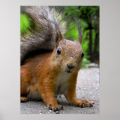 Was Got? Poster (Vorne)