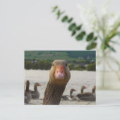 Was guckst du dir an? (Gänsehaut) Postkarte (Stehend Vorderseite)