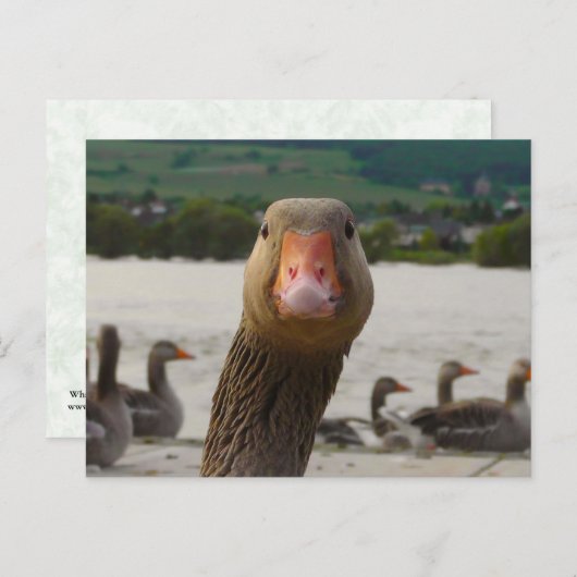 Was guckst du dir an? (Gänsehaut) Postkarte (Vorne/Hinten)
